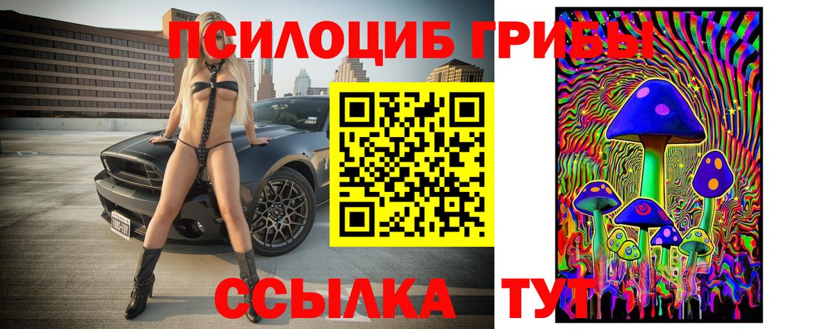 Галлюциногенные грибы Magic Shrooms  где можно купить   Холмск  Вход с VPN 